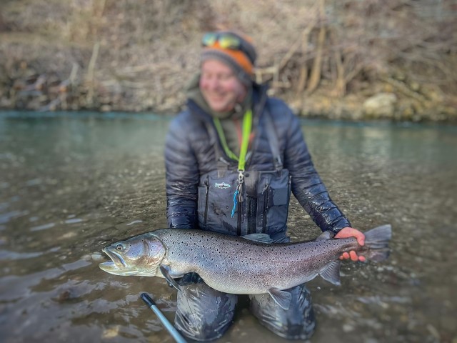 Hucho Slovenia Huchen.